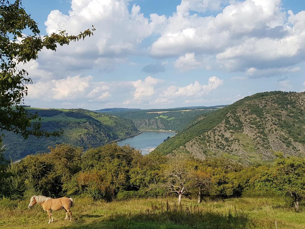 דירות אוברווסל Rhine Pearl Hideaways מראה חיצוני תמונה